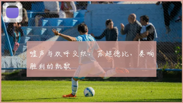 嘘声与欢呼交织,苏超德比,奏响胜利的凯歌